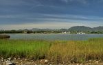 Longquanhu Wetland