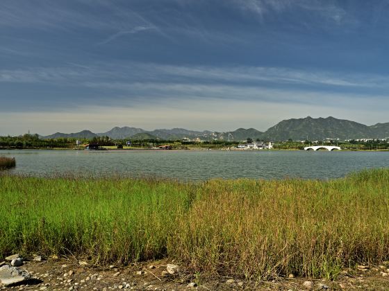 Longquanhu Wetland