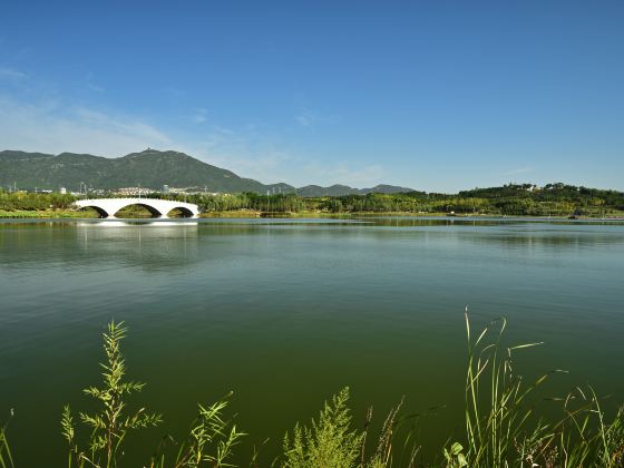 Longquanhu Wetland