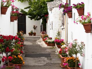 Voli Sion Bari diretti