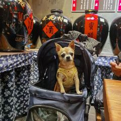 톈위안 큐 바 여행 사진