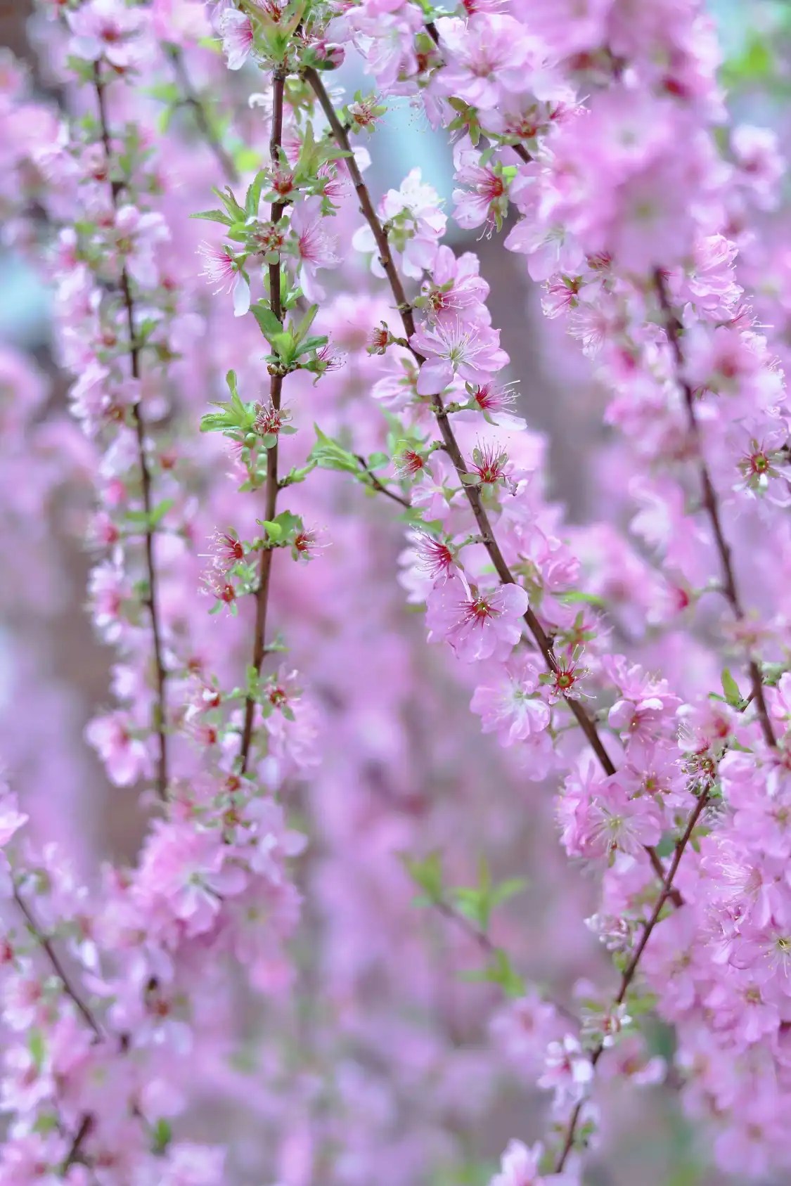 관롱 공원 주변 호텔