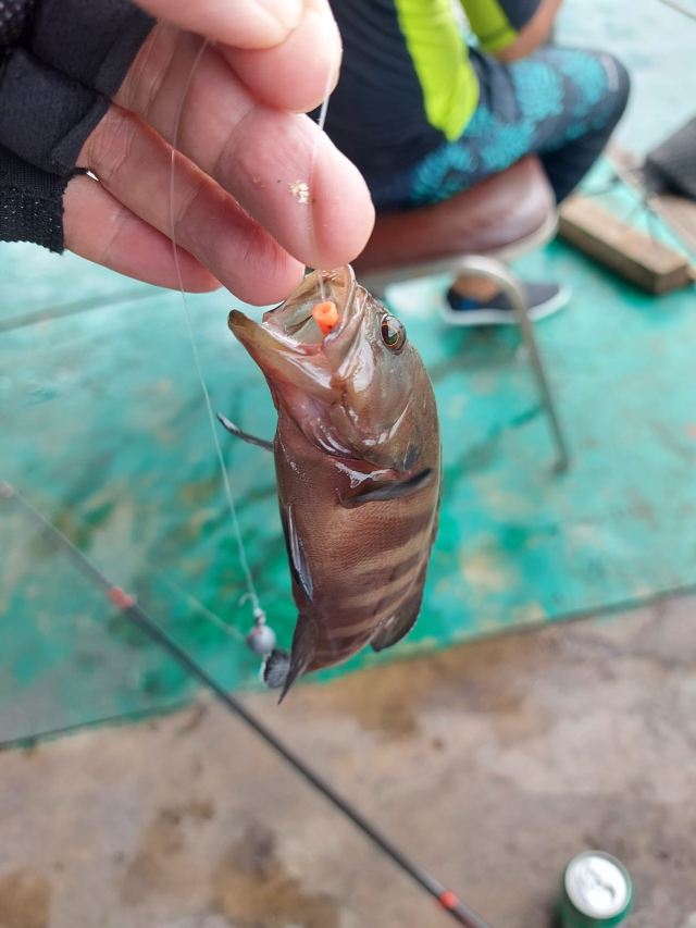 釣魚好去處 西貢魚排推介輕鬆享受夏日釣魚樂遊記攻略 Trip Com遊玩攻略