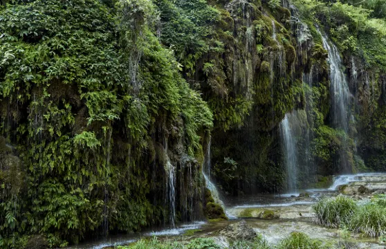 坐禪谷門票成人
