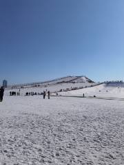 寧夏閲海滑雪場