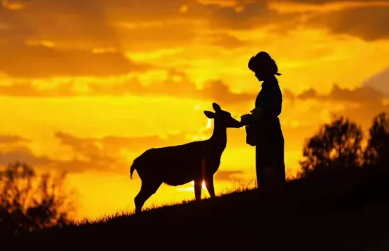 皇家鹿園門票2人