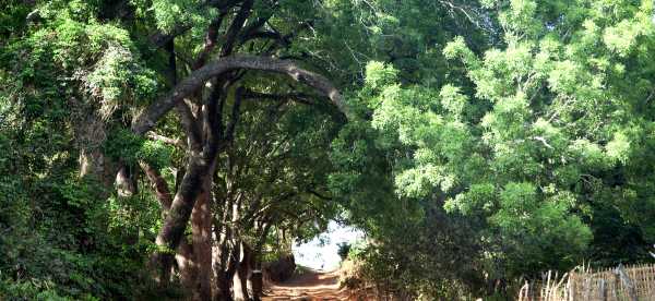 Khách Sạn 5 Sao  Tại Guinea-Bissau