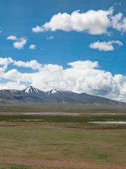 Nagqu Frigid Grassland