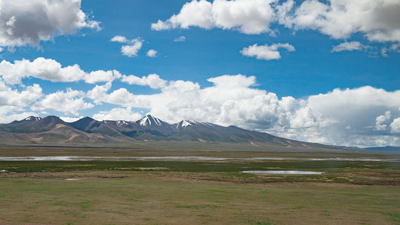 Nagqu Frigid Grassland