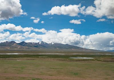 Nagqu Frigid Grassland