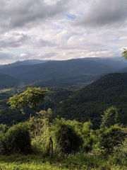 Parco nazionale di Phu Suan Sai