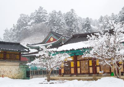 平昌郡