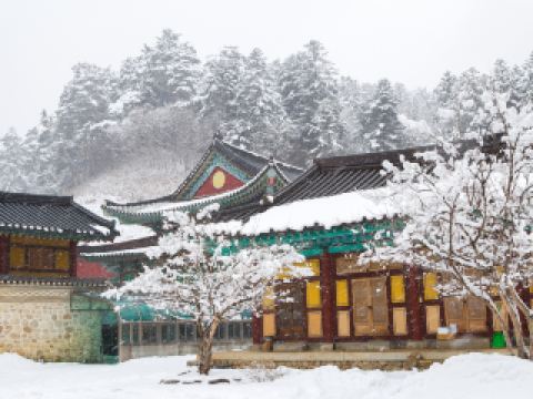 용평리조트 근처 호텔