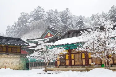 Pyeongchang-gun