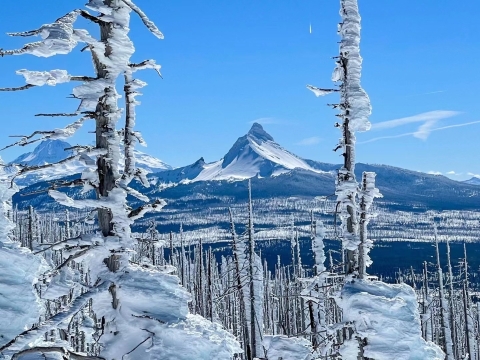 Trillium Lake Trailheadのレビュー Trillium Lake Trailheadのチケット Trillium Lake Trailheadの割引 Trillium Lake Trailheadの交通機関 所在地 営業時間 Trillium Lake Trailhead周辺の観光スポット ホテル グルメ Trip Com