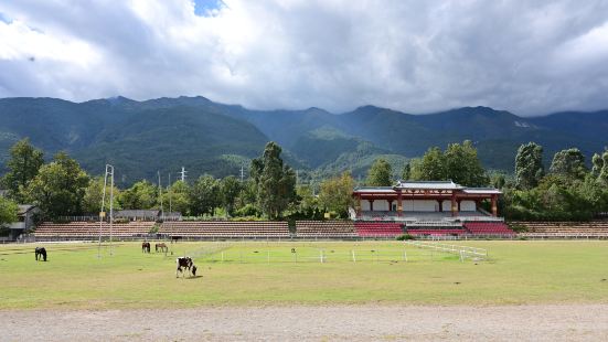 三月街賽馬場