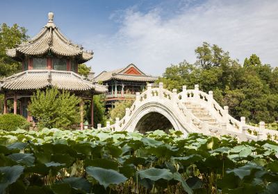 Acient Lotus Flower Pond Resort