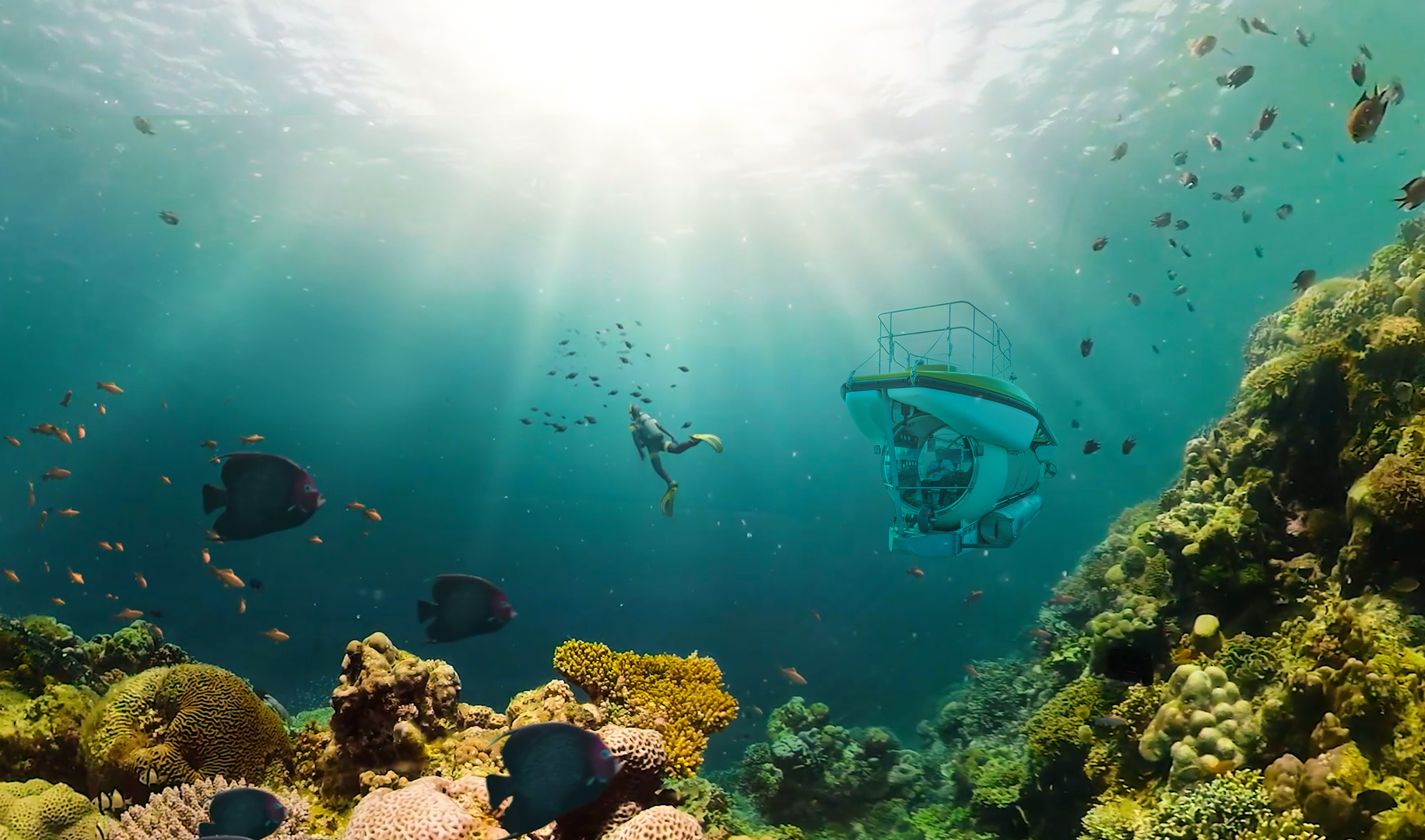 빈원더스 나트랑