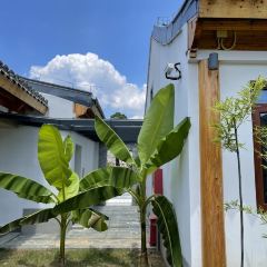 桃花潭桃花书院·餐厅 User Photo