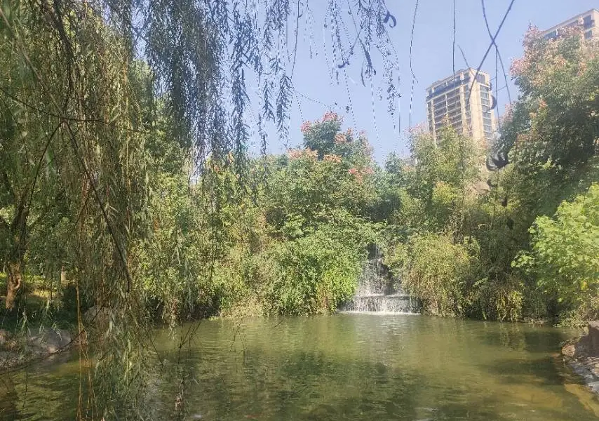 Jiangbin Park