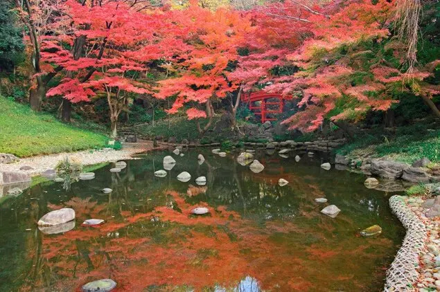 도쿄여행