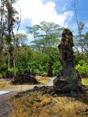 Lava Tree State Monument