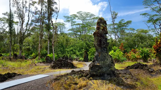 Lava Tree State Monument