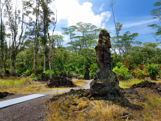 Lava Tree State Monument