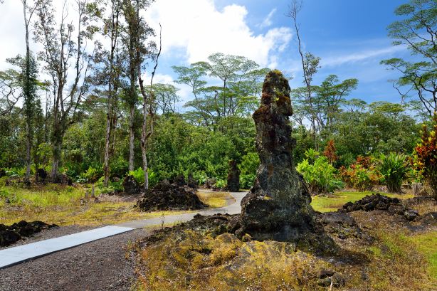 Lava Tree State Monument