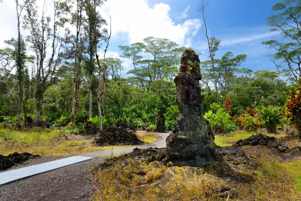 Lava Tree State Monument