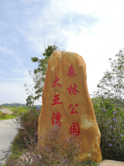 大亞灣森林公園