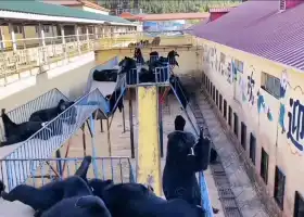 Heibaoxiong Amusement Park