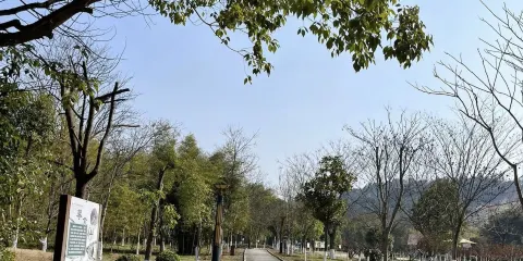百鷺洲濕地公園