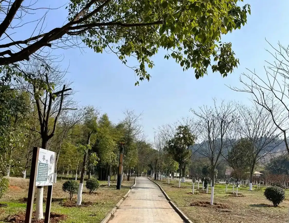 Hotels near Bailuzhou Park