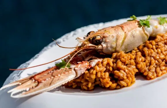 Starfish - Royal Hideaway Corales Resort