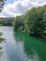 Bukowa Forest Landscape Park