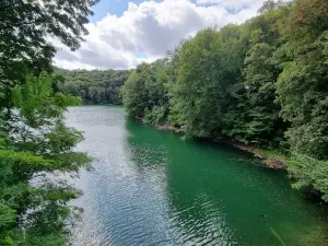 Bukowa Forest Landscape Park