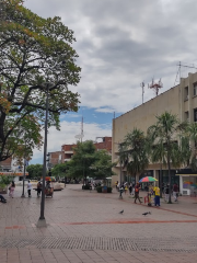 Parque Central Santander