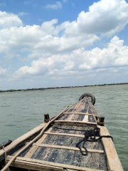 The Sundarbans (Bangladesh)