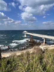 Shirahama Midsea Observation Tower CORAL PRINCESS (SHIRAHAMA KEY TERRACE HOTEL SEAMORE)