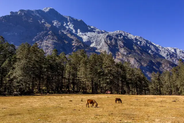 Yulong Horse Riding