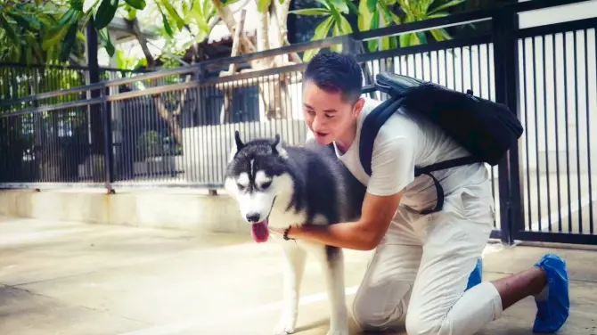 TrueLove @ Neverland (Husky Cafe)