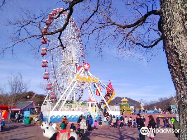 Japan Monkey Park Tickets [2026] - Promos, Prices, Reviews