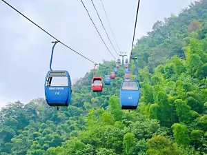 Cableway in the Shunan Bamboo Sea