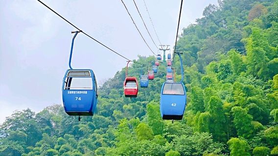 Cableway in the Shunan Bamboo Sea