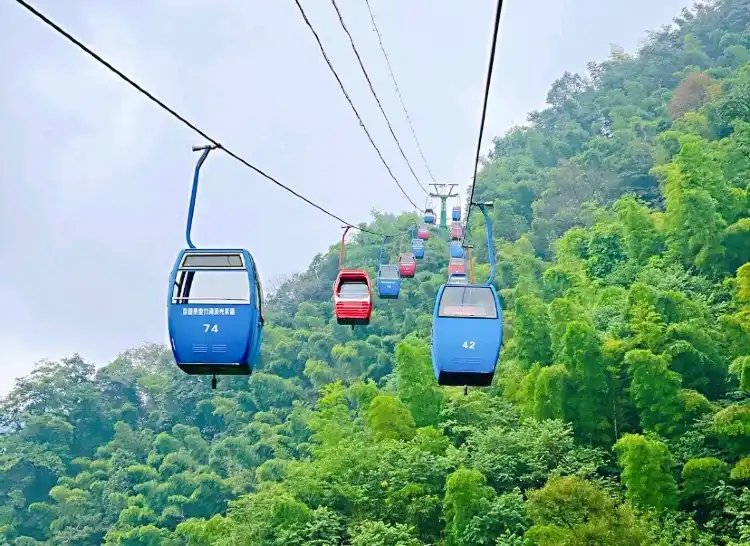 Hotels near Cableway in the Shunan Bamboo Sea