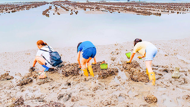 Beachcombing in Xiamen