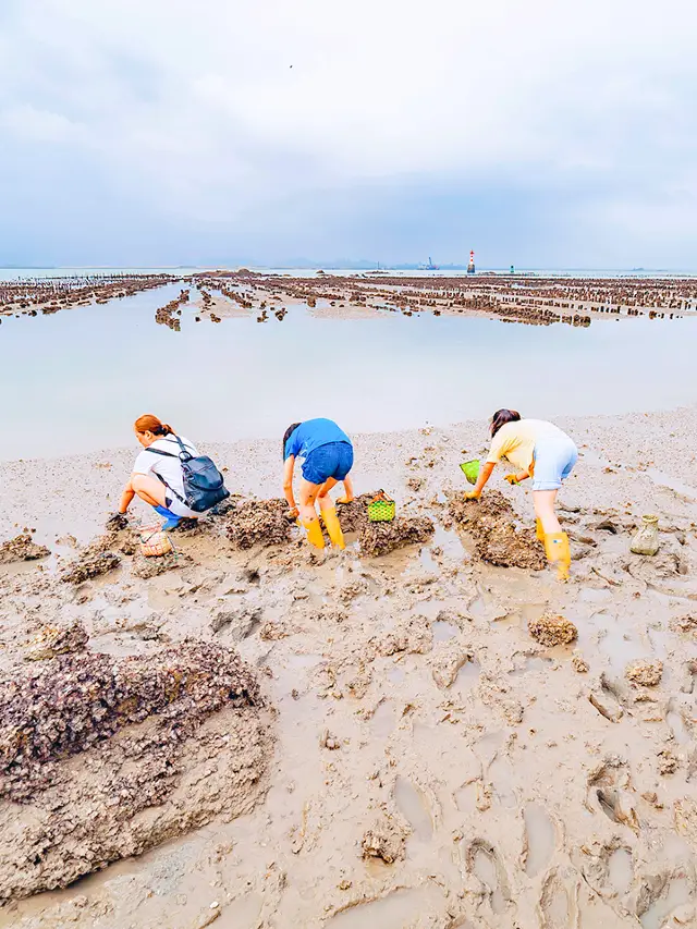 Beachcombing in Xiamen