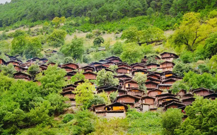 Weixi