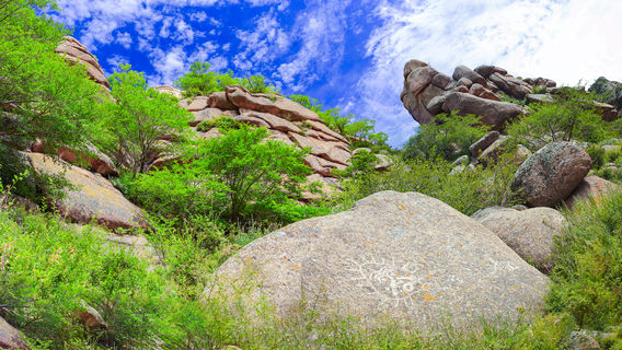 Ulanqab Cliff Painting